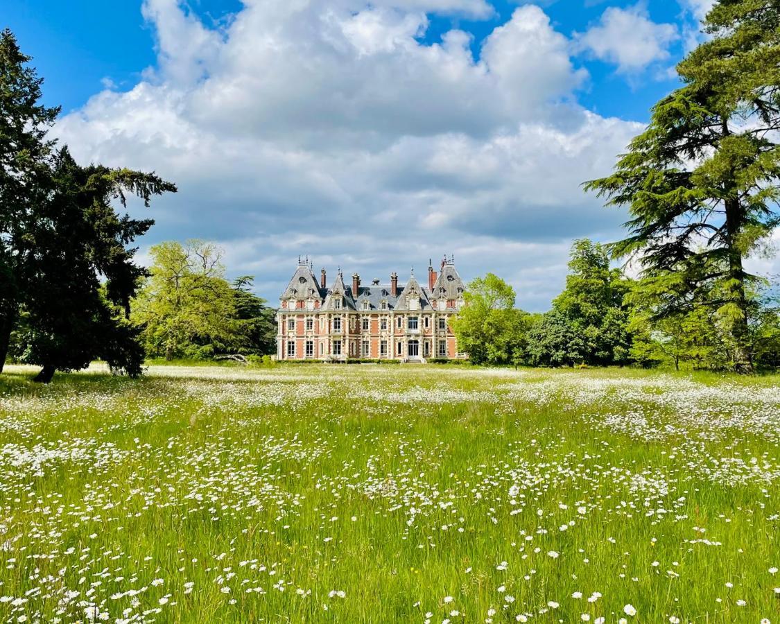 Chateau De La Jumelliere Villa Buitenkant foto
